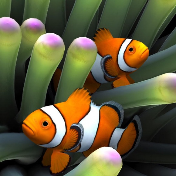 Meet your Posher, Nitara - Picture 1 of 1